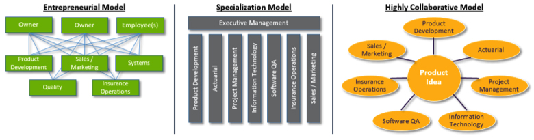 BUSINESS MODEL OF LIFE INSURANCE COMPANIES