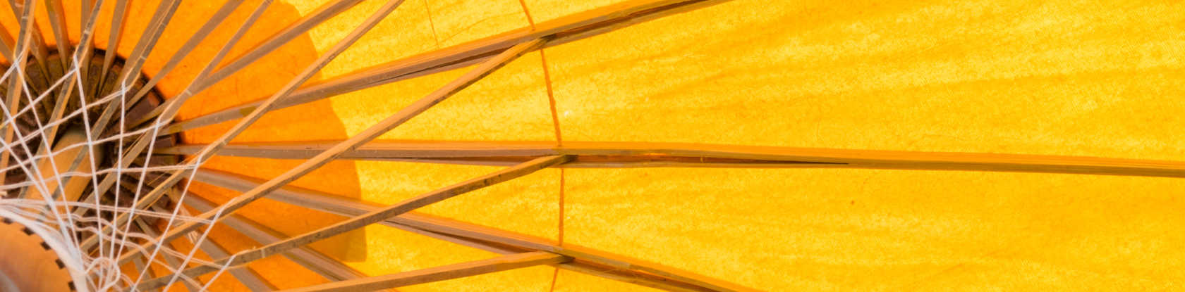 Centric Consulting Insurance Marketing Automation