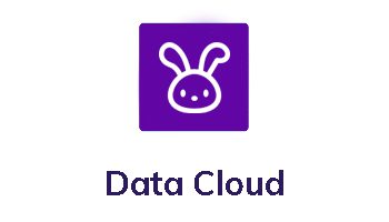 Salesforce Data Cloud W Text2