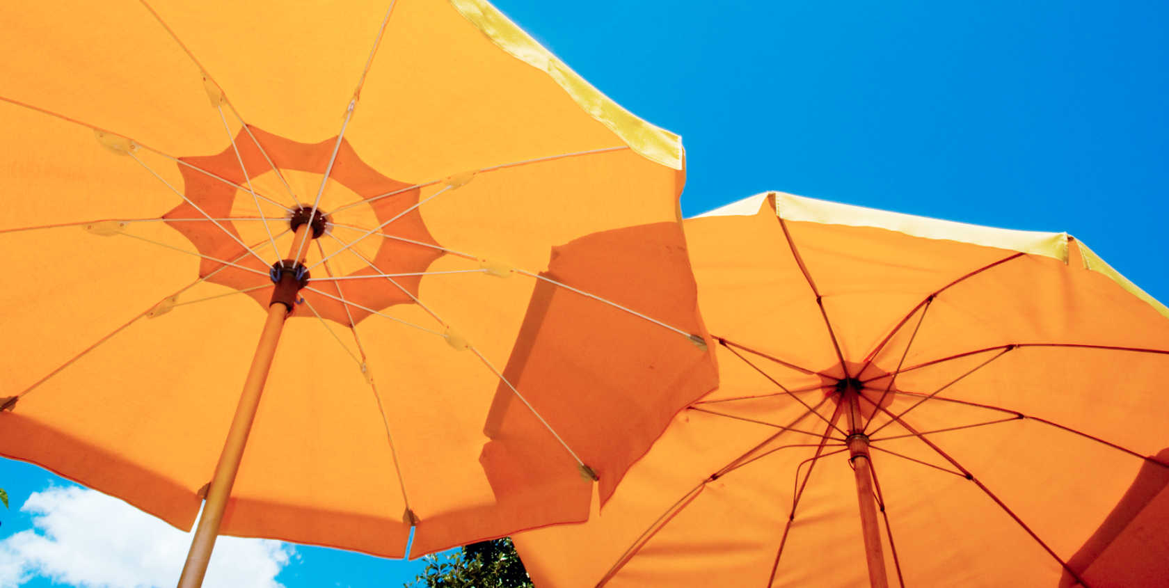 Microsoft Dynamics vs. Salesforce FutureProof Insurance With AI